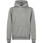 CLIQUE Basic Active -lasten huppari Meleerattu harmaa (95)