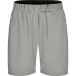 CLIQUE Basic Active -lasten shortsit Meleerattu harmaa (95)