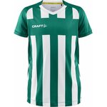 CRAFT Progress 2.0 Stripe Jersey JR Team green/white (651900)