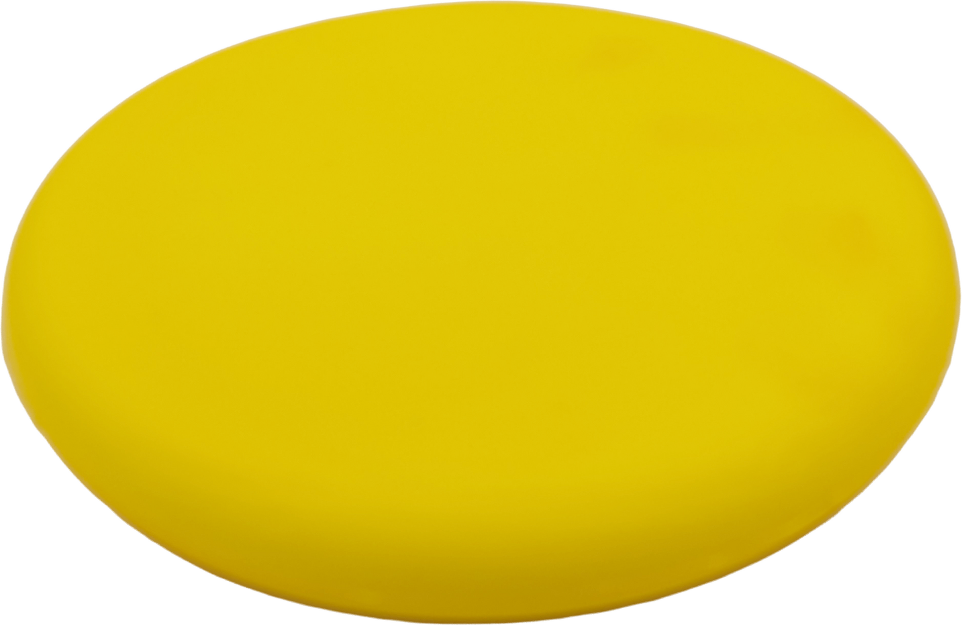 Soft Foam Frisbee Gul