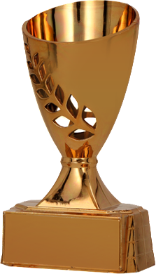 Pokaali Saxo Pronssi