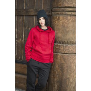 CLIQUE Basic -unisex-mallinen huppari