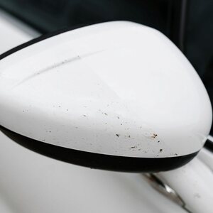 K2 NUTA ANTI INSECT PRO - Hyönteisirroite 1L