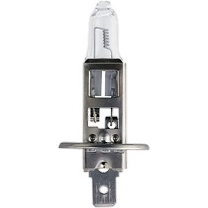 PHILIPS MasterDuty +130% H1-halogeenipolttimo 24V 70W P14.5s 3200K 13258MDC1