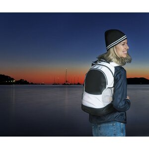 CLIQUE Basic Backpack Reflective