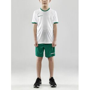 CRAFT Progress 2.0 Graphic Jersey JR